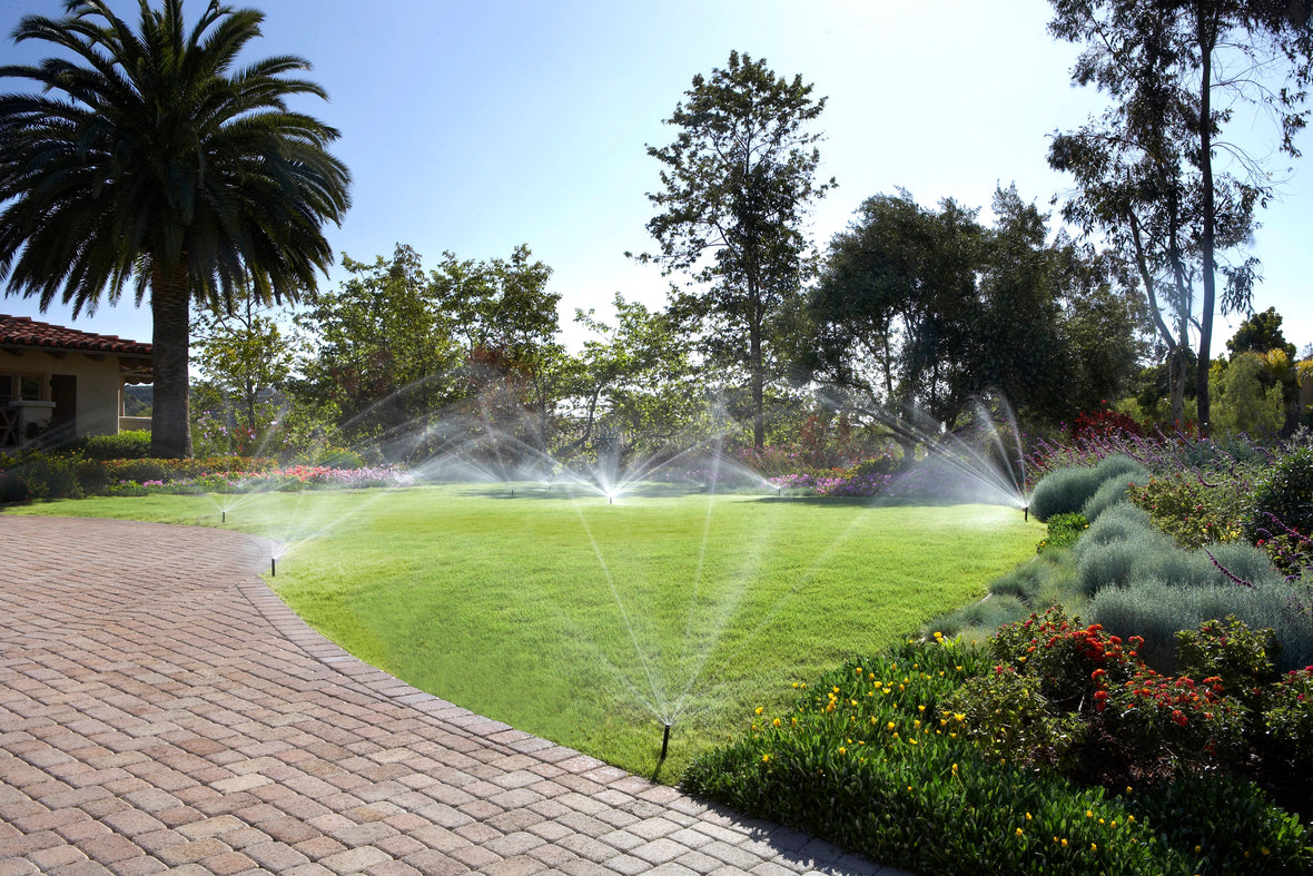 Why More South Africans Are Switching to Hunter MP Rotators